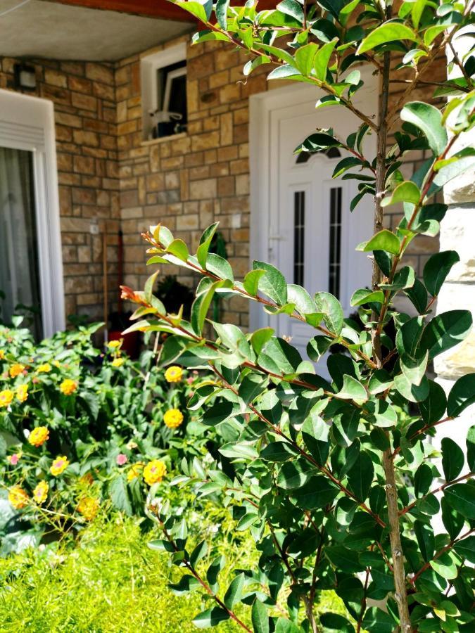 Apartment Brala Posedarje Dış mekan fotoğraf