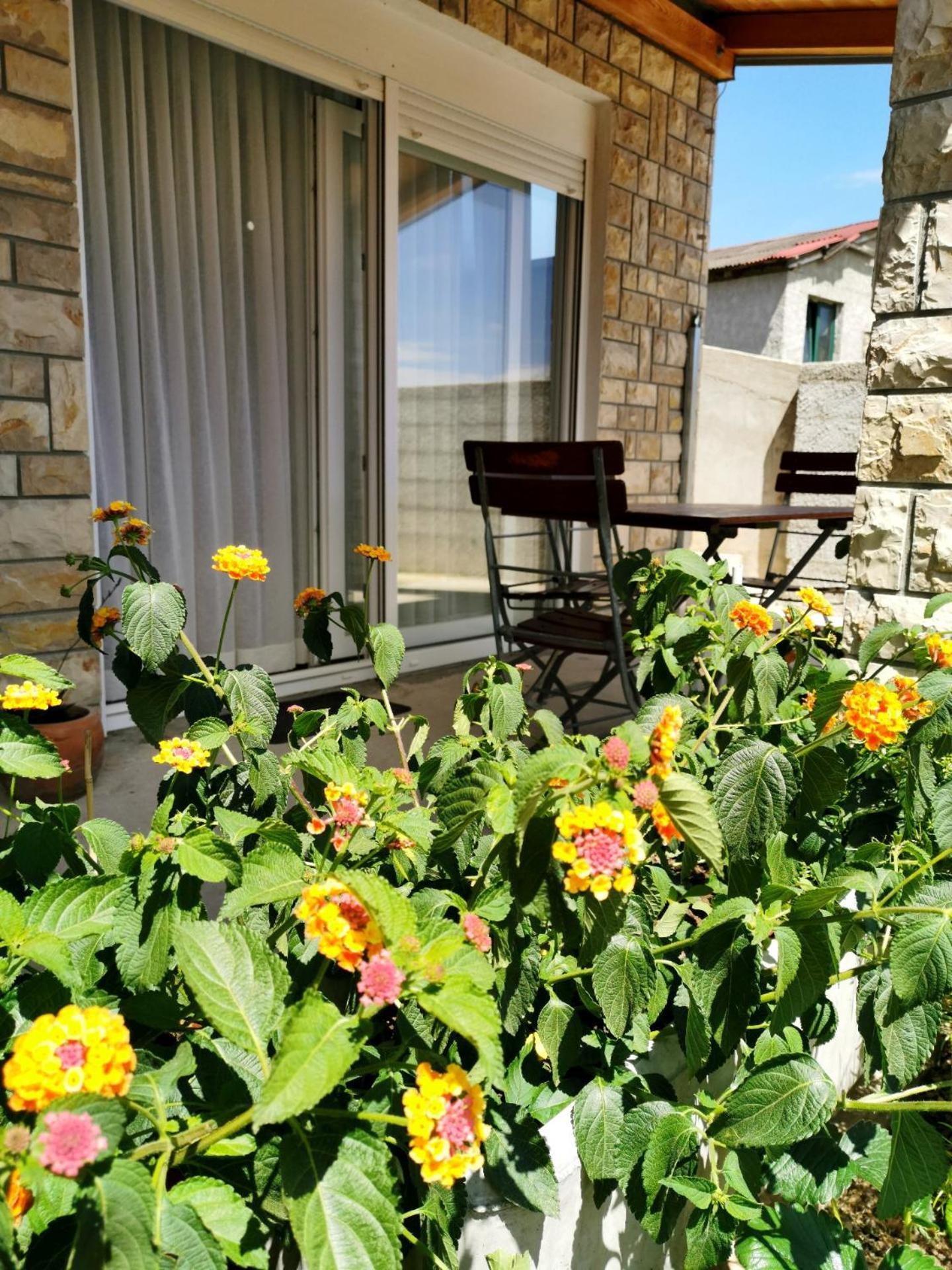 Apartment Brala Posedarje Dış mekan fotoğraf
